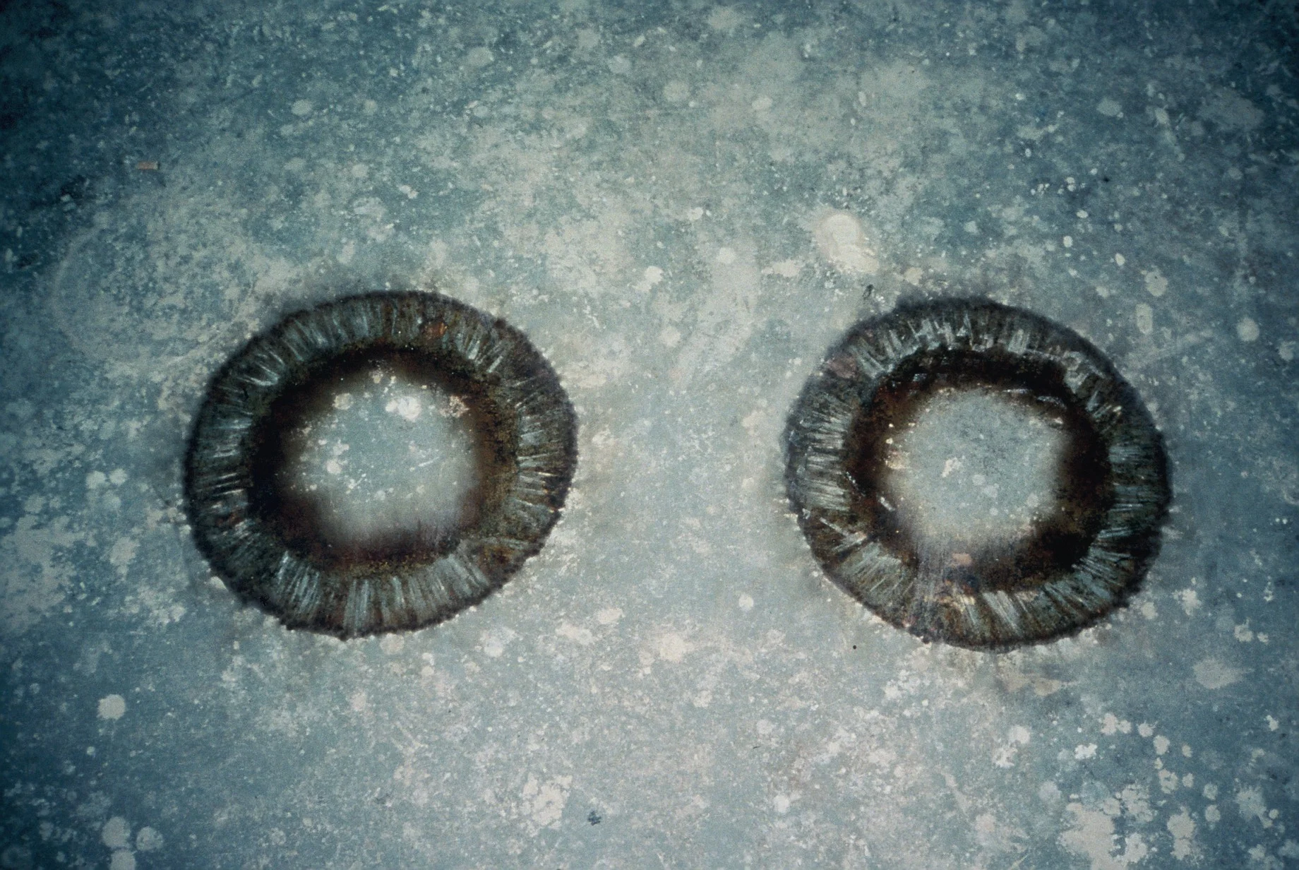  NSCAD rings, burn marks. 1994 