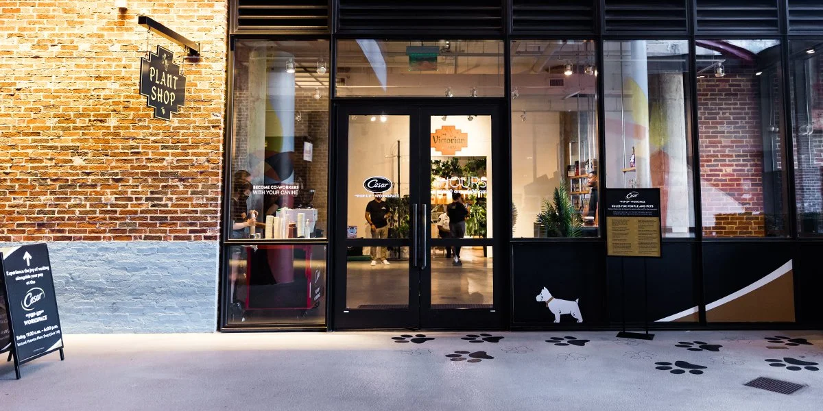 CESAR Pup-Up Workspace