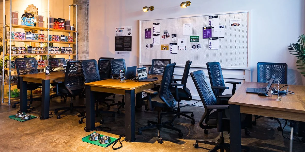 CESAR Pup-Up Workspace