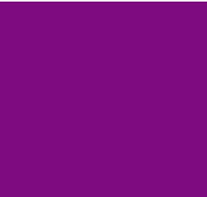 1purple.jpeg