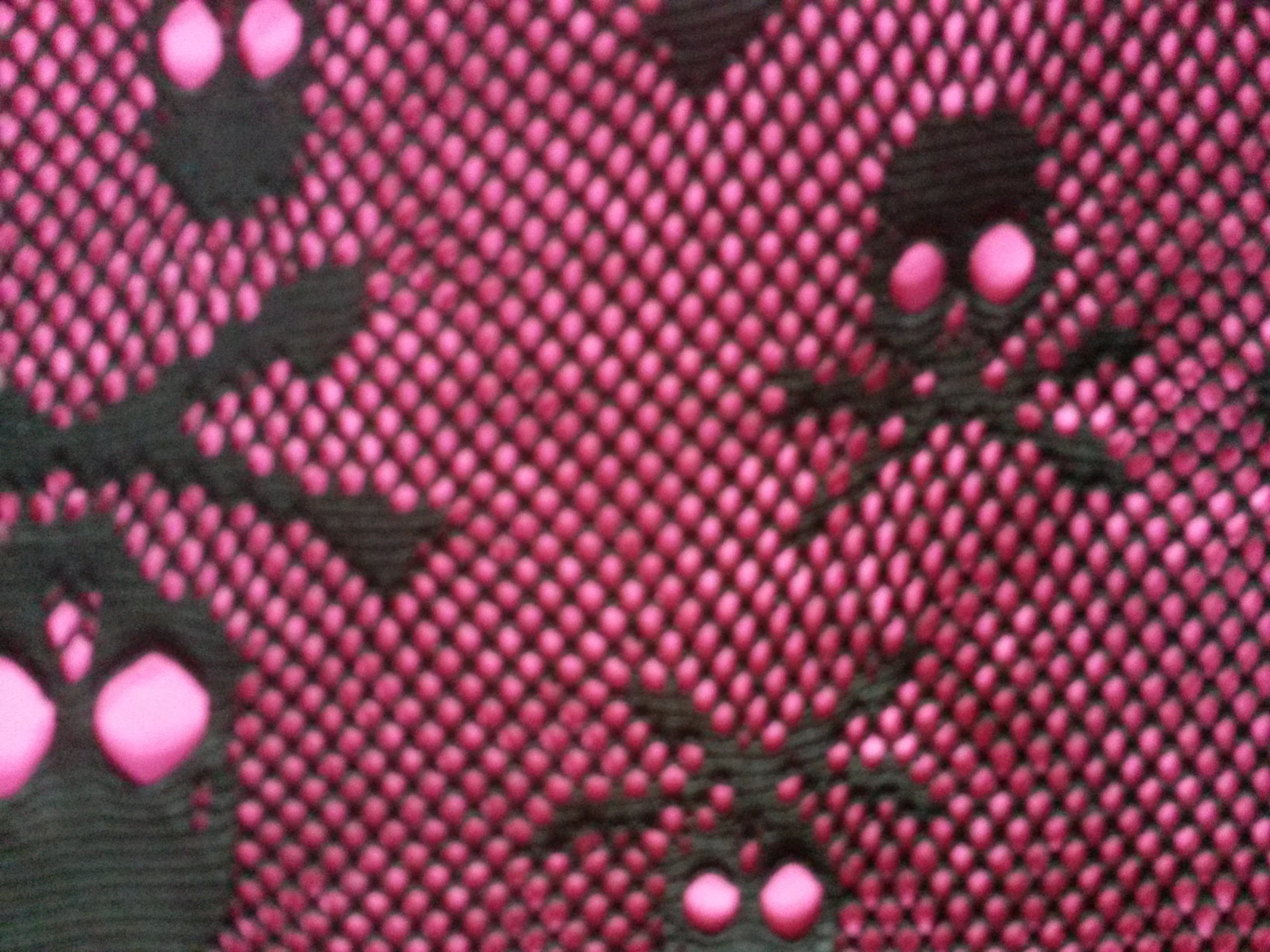 20150923_172244.jpg