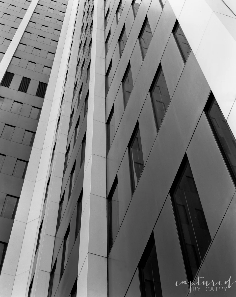 (4x5 film photograph taken Fall 2015)