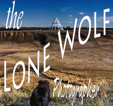 The Lone Wolf Photographer