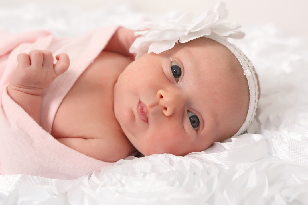 newborn photographer perth