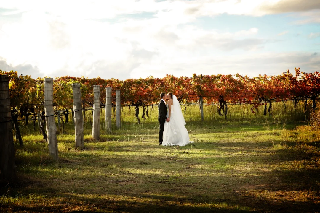 Penrhos Wedding