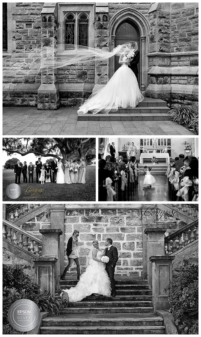 2015 Professional Photographer State Awards