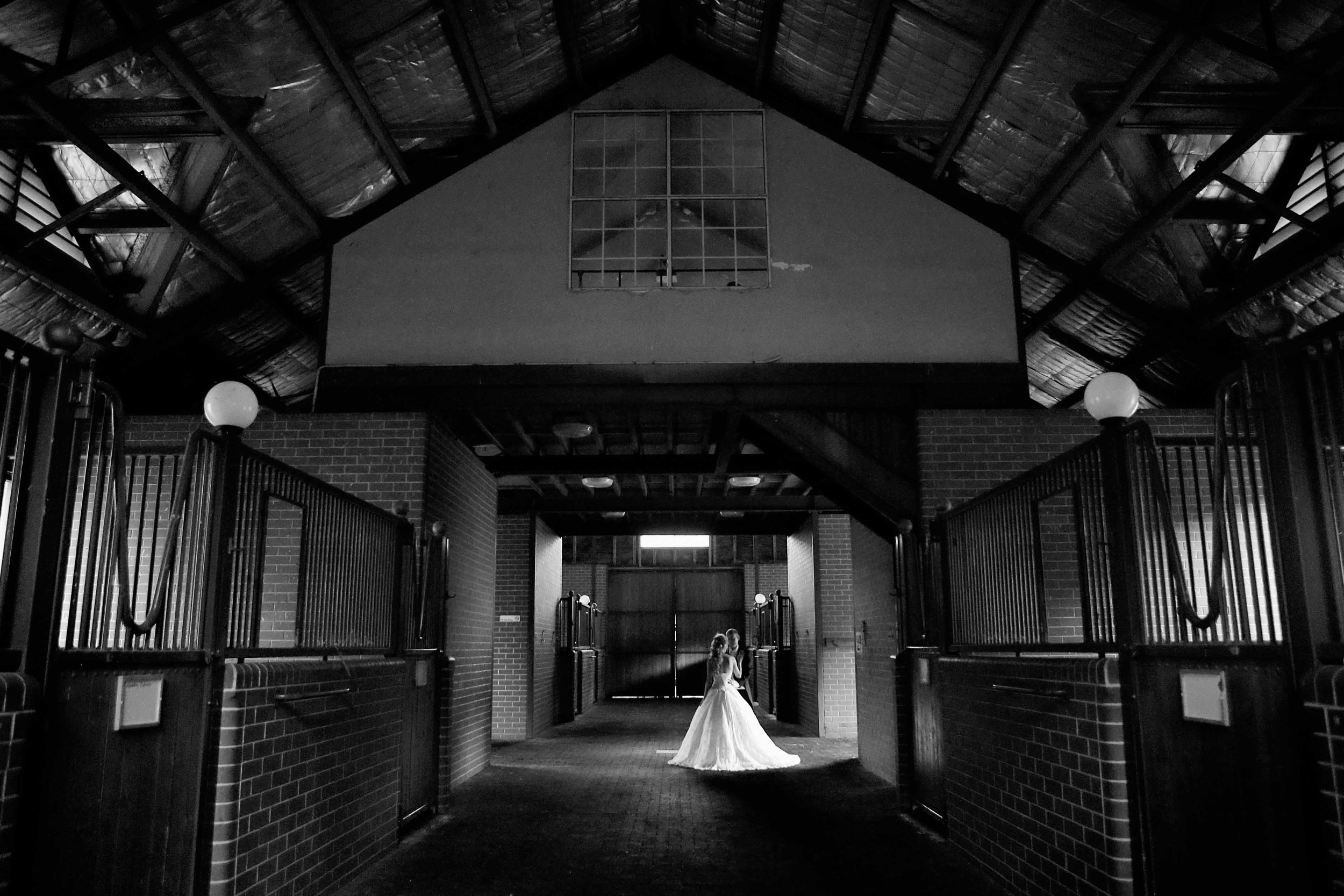 Compose Photography — photo 3 of 18