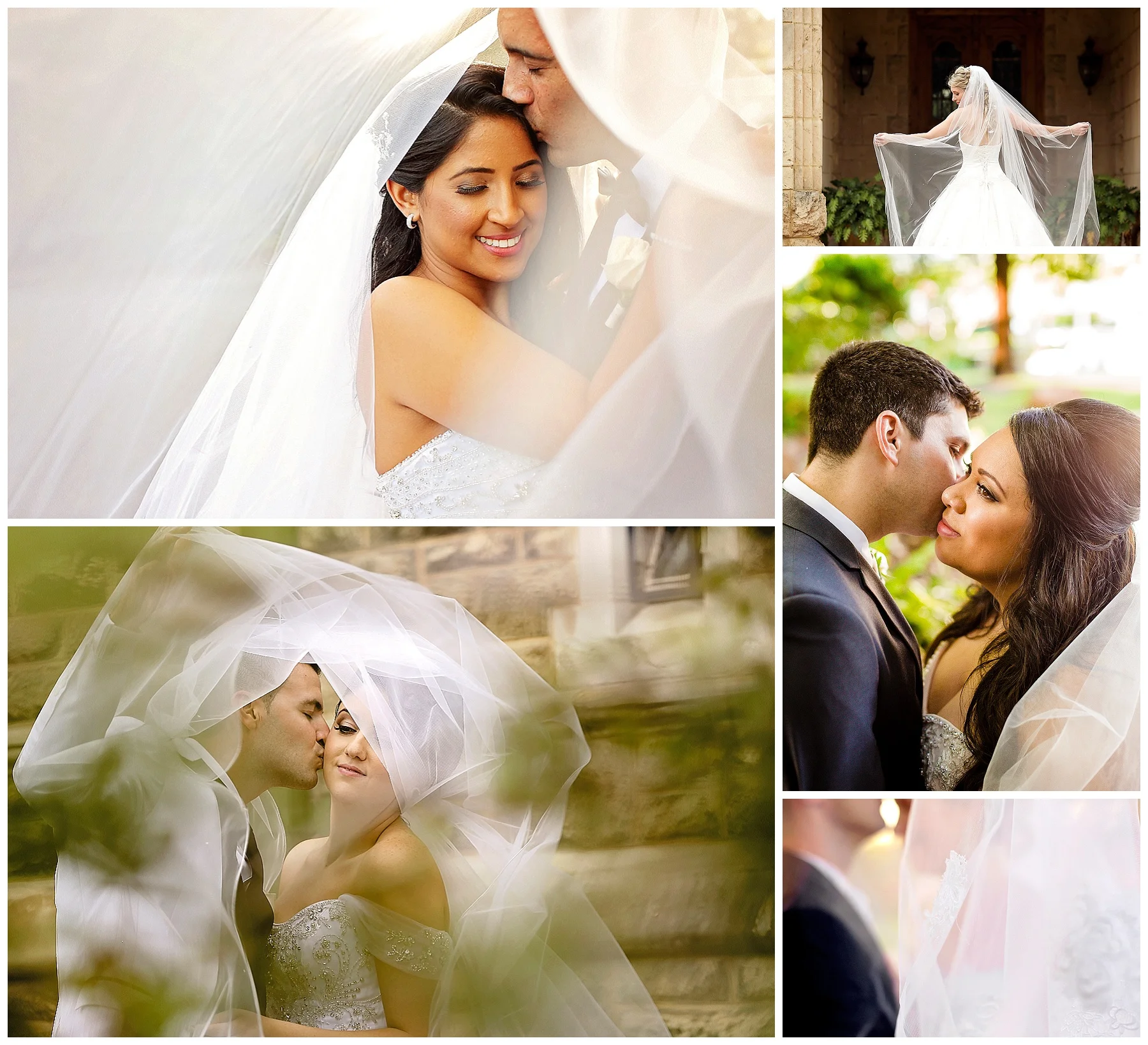 wedding veil photo