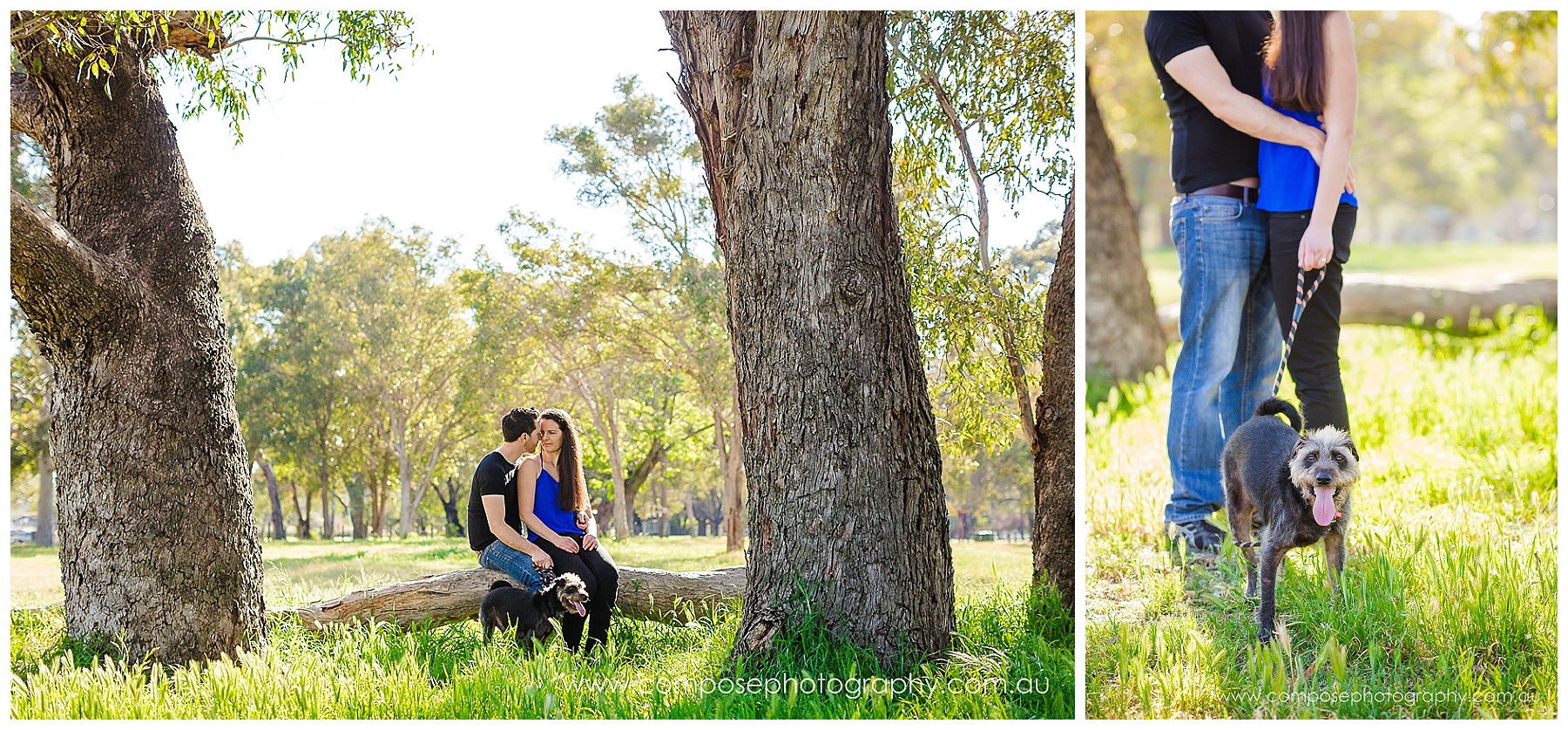 pet photographer perth