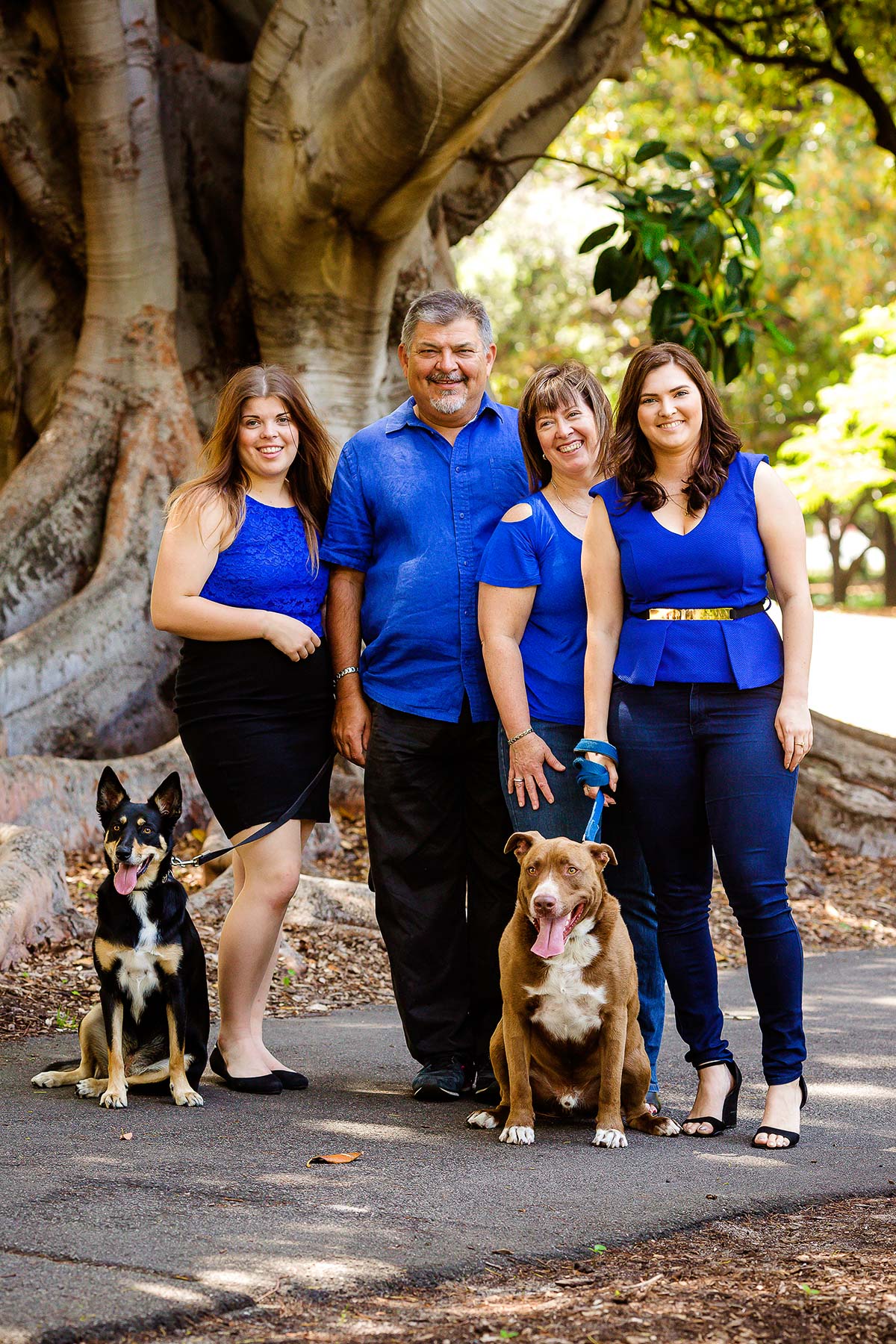 family portrait with dogs perth 