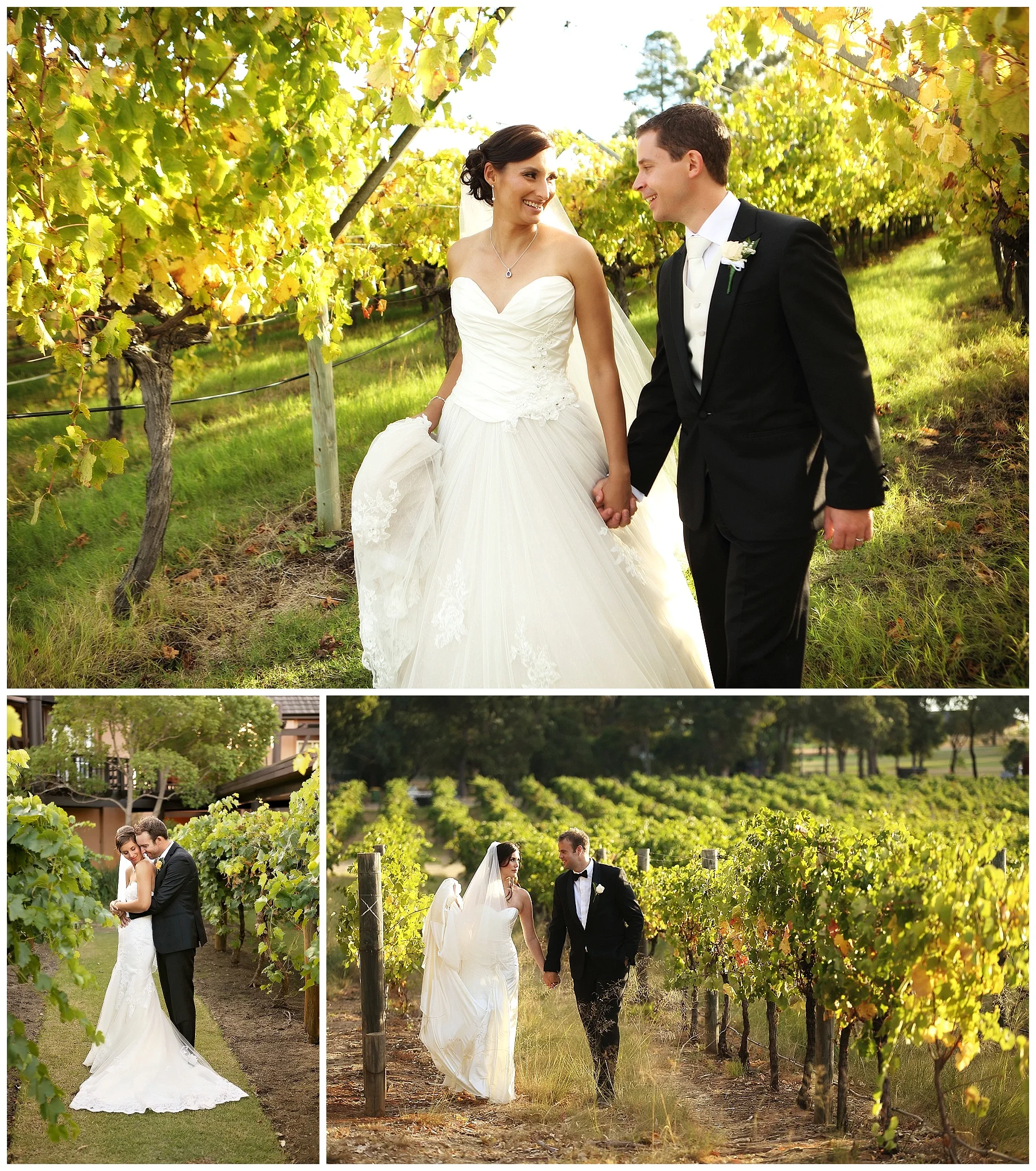 vineyard wedding swan valley