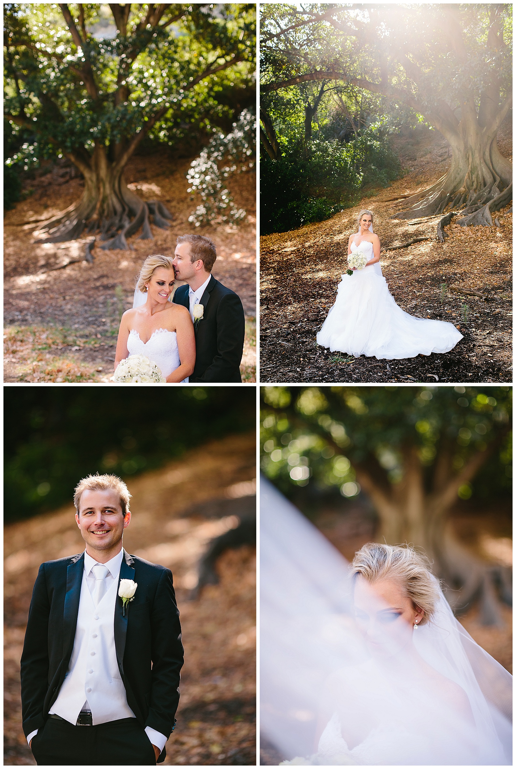 wedding photos with fig trees perth 