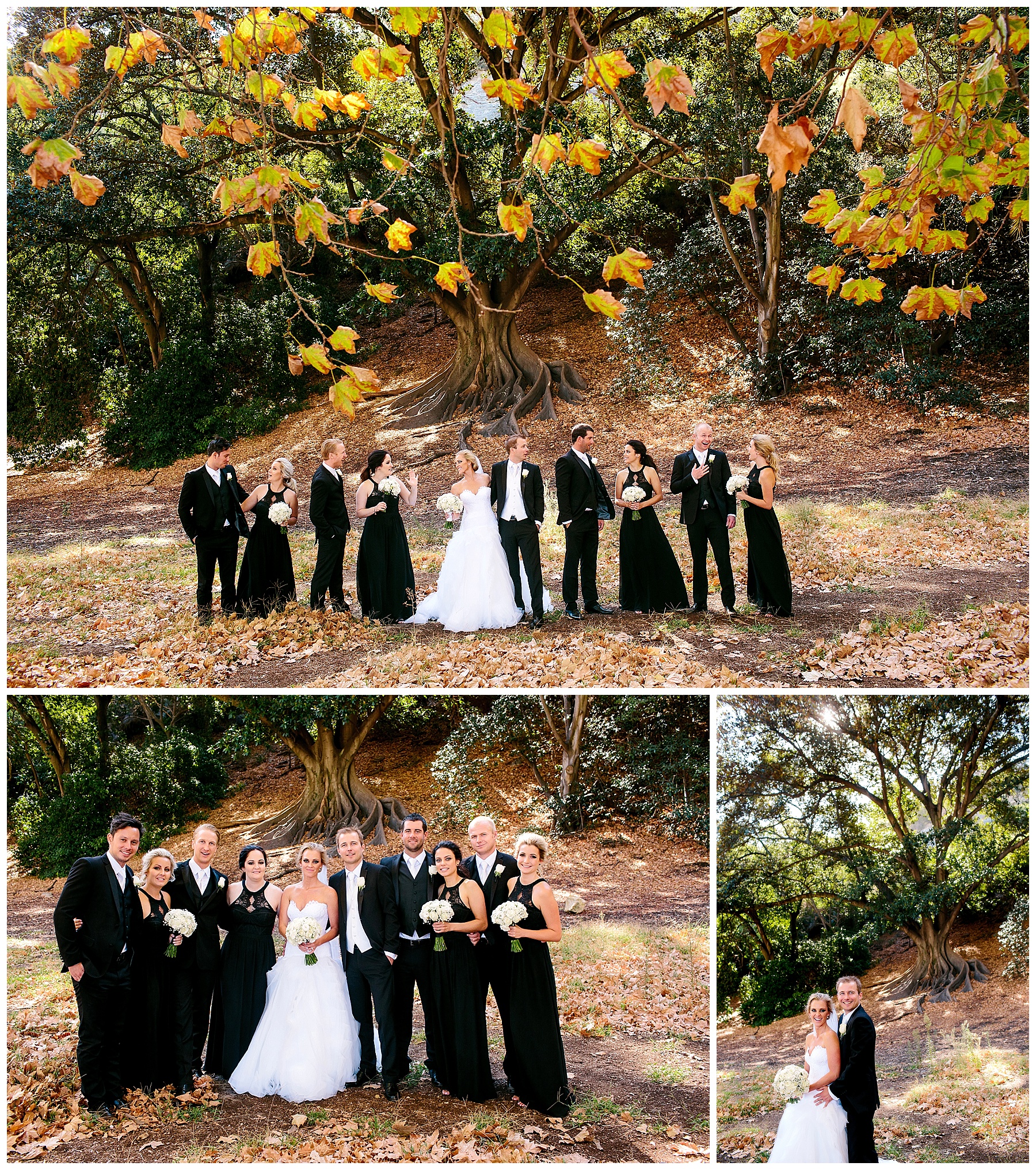 bridal party group photo idea