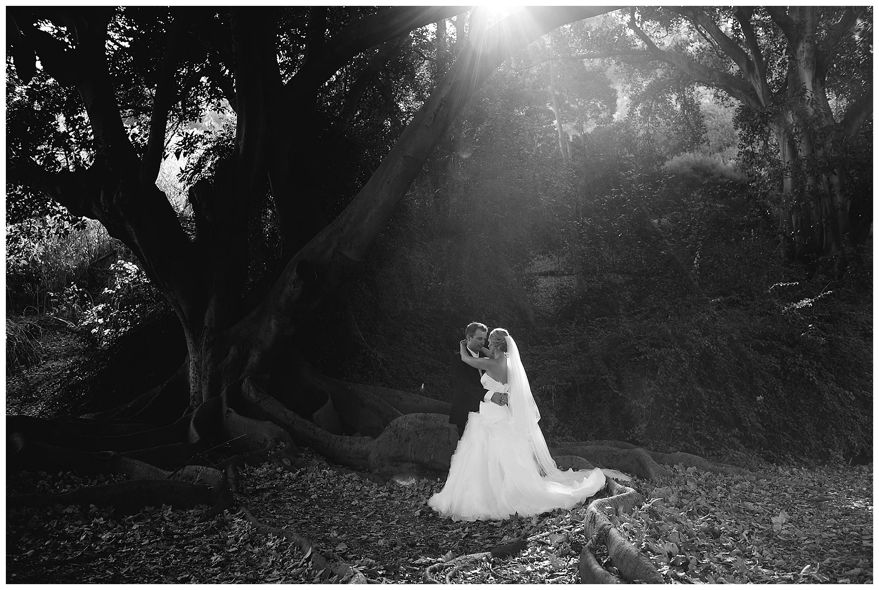 black and white wedding photo