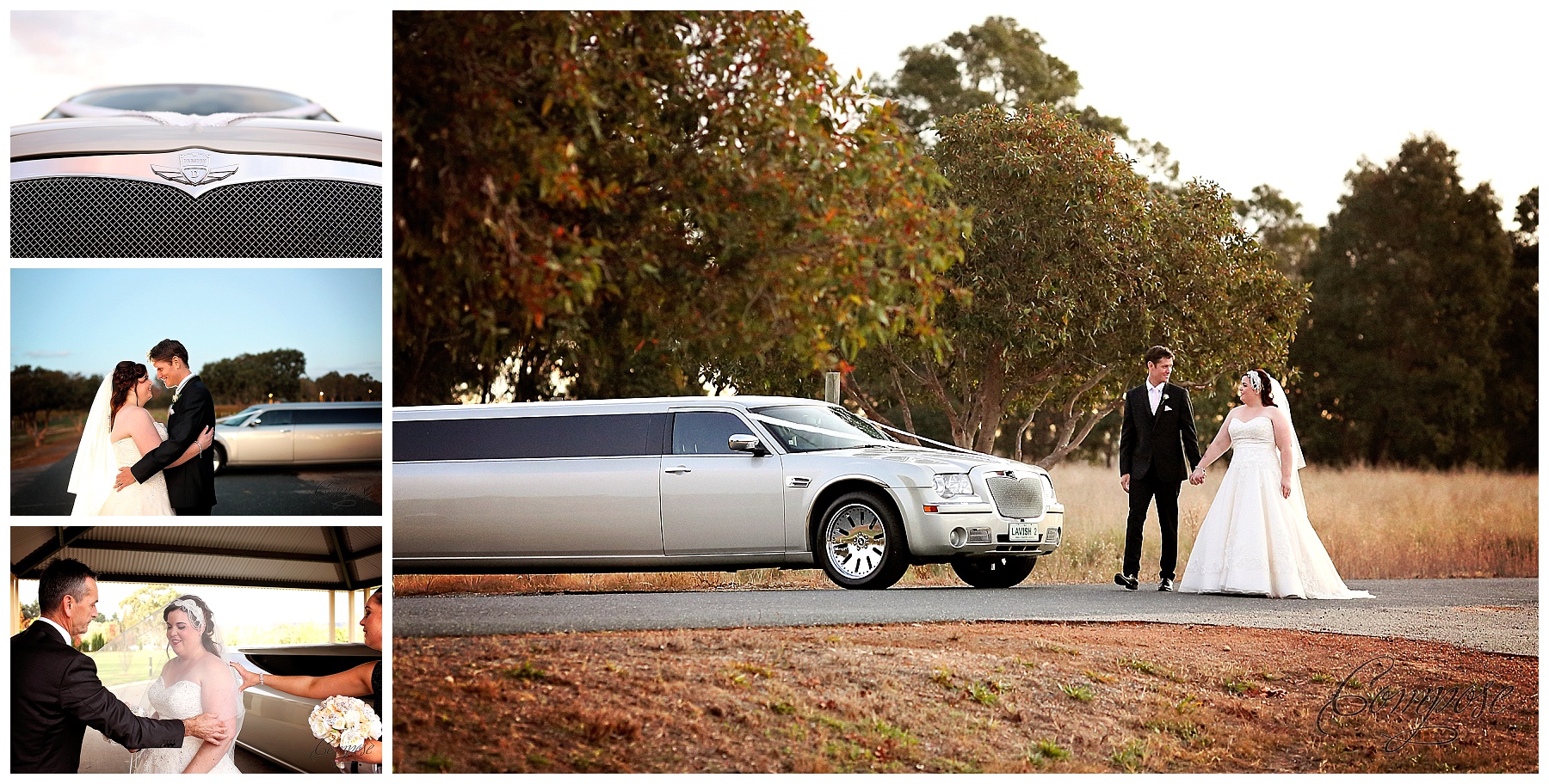 Swan Valley Wedding