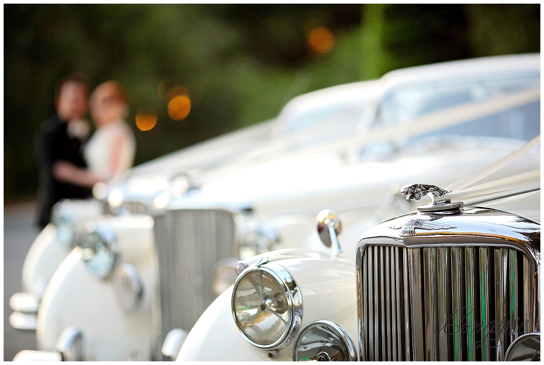 Classic Jaguar Wedding Car