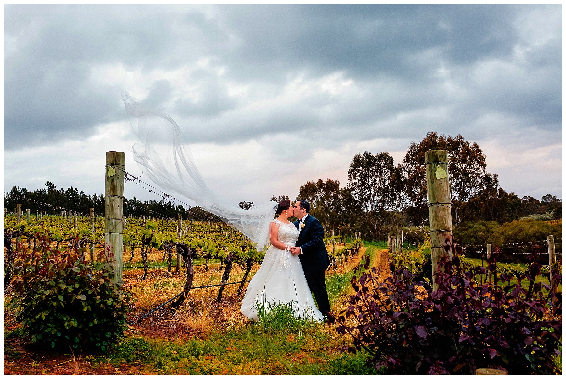 Swan Valley Vineyard Wedding 