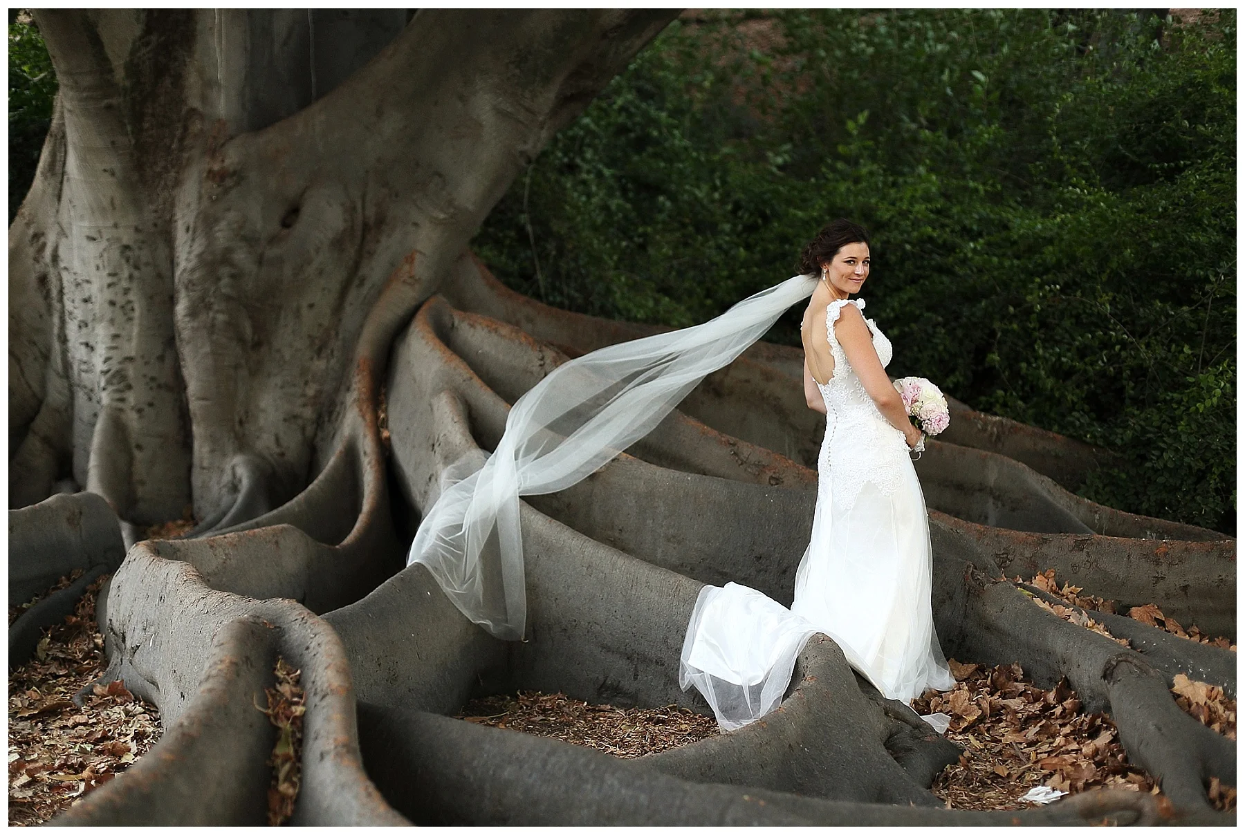 Pallas Couture Wedding