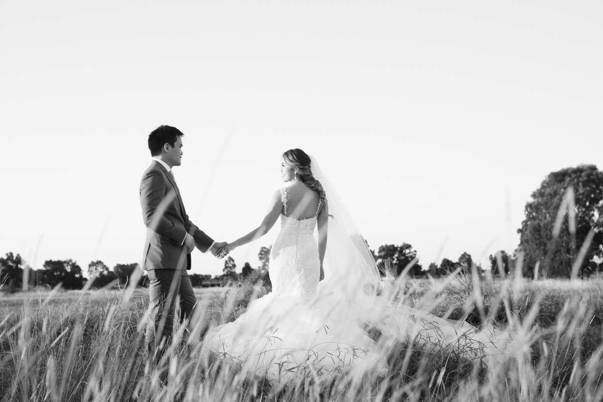 Swan Valley wedding in a field 