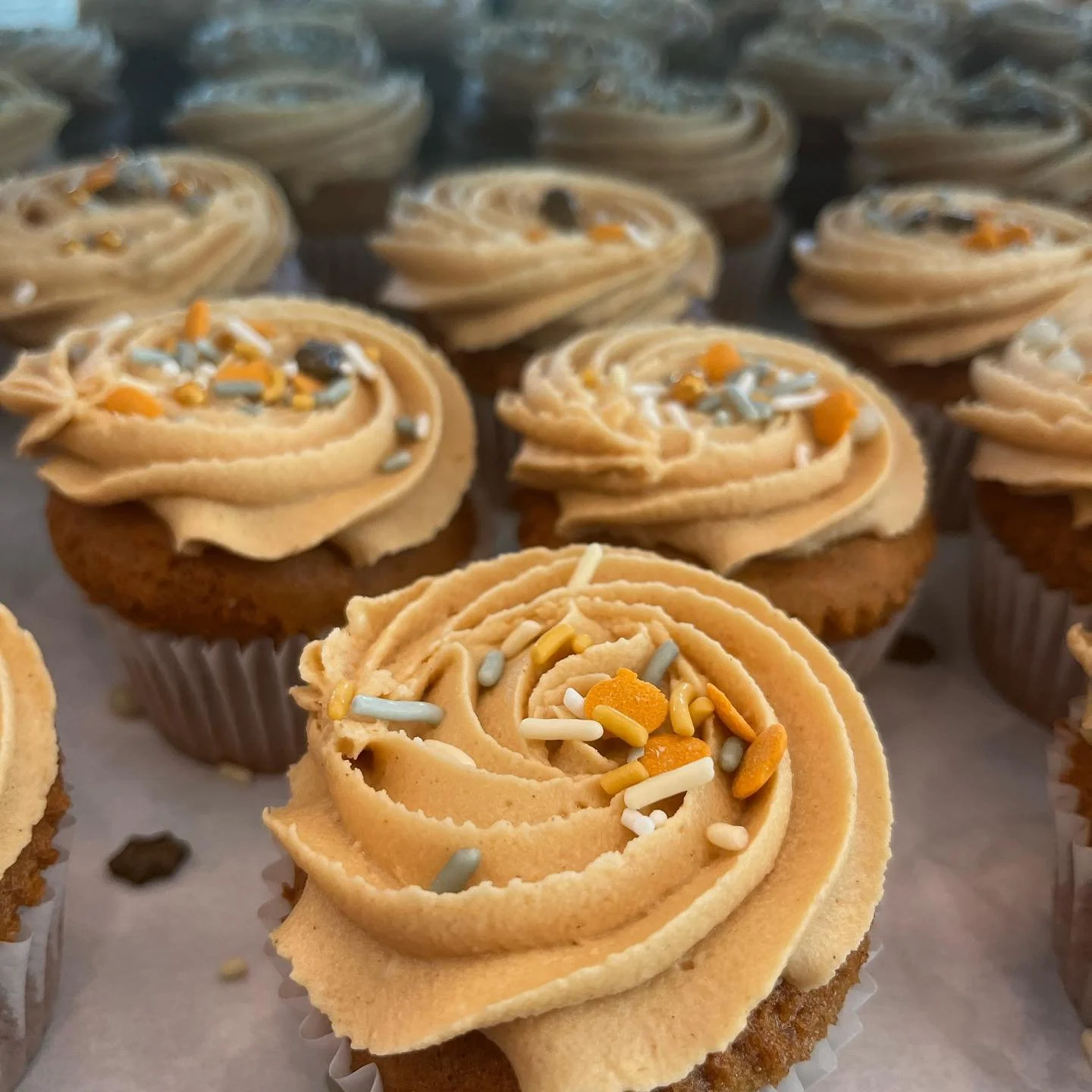 pumpkin cupcakes.jpeg