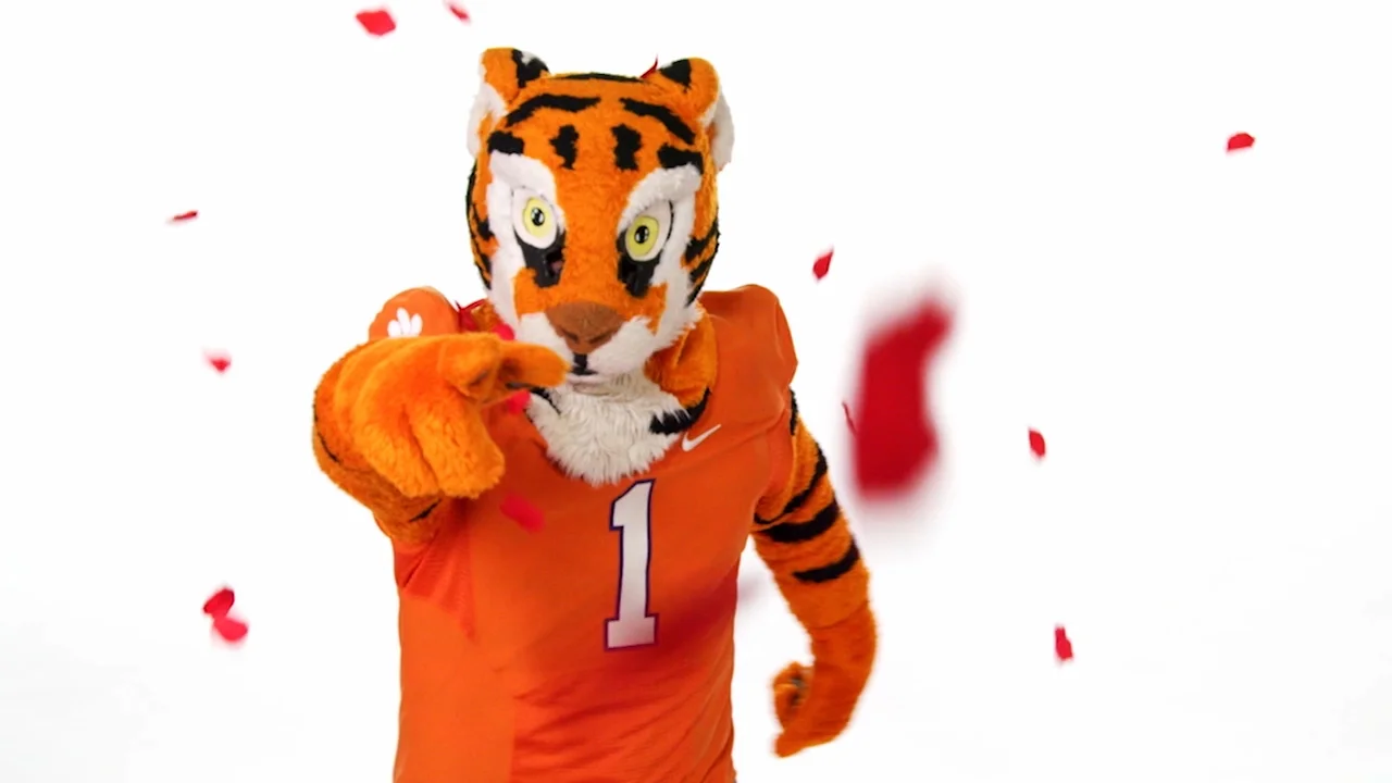 Clemson Tiger.jpg
