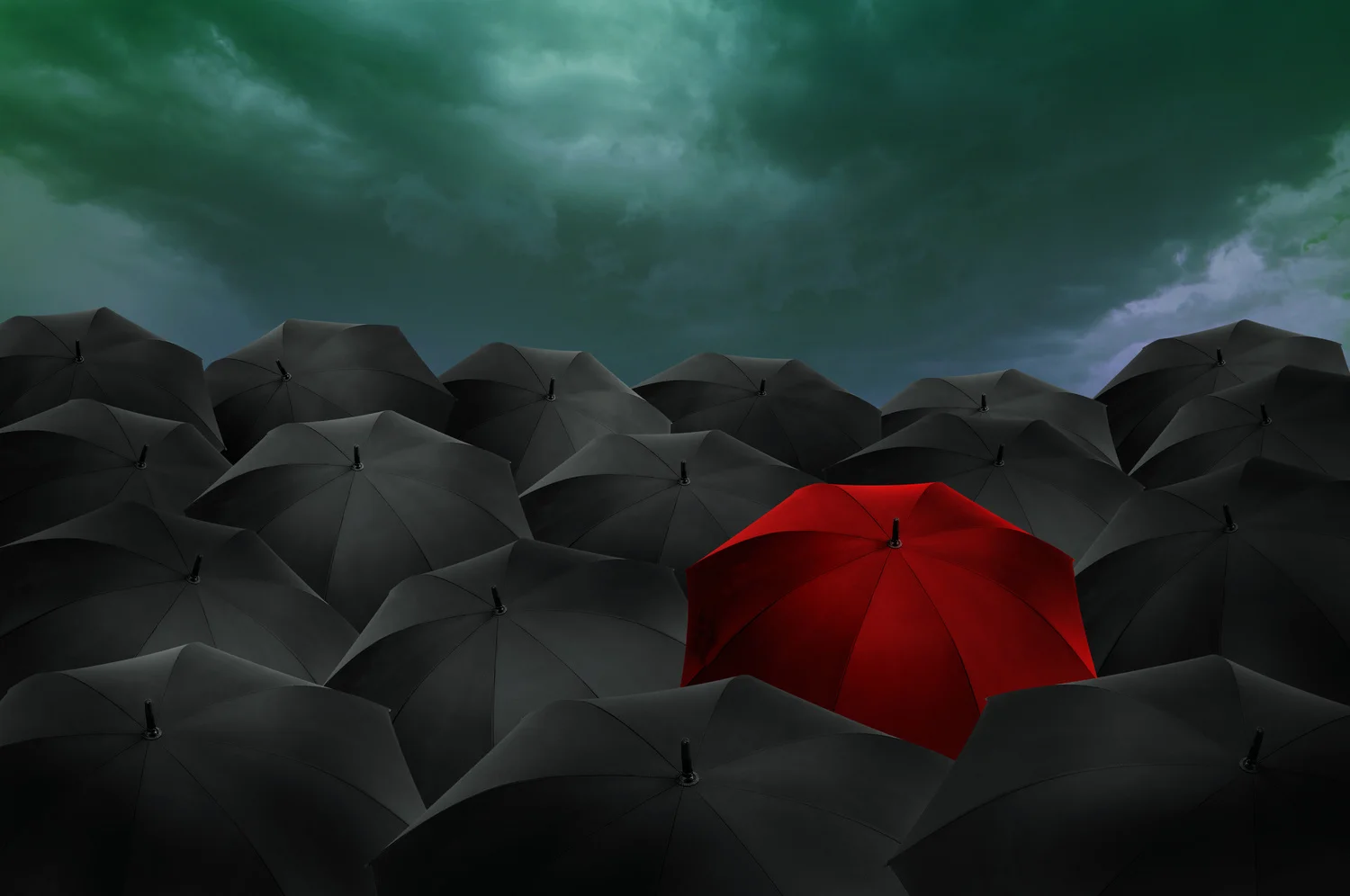 Sex Work vs Human Trafficking