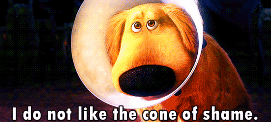 cone of shame.gif