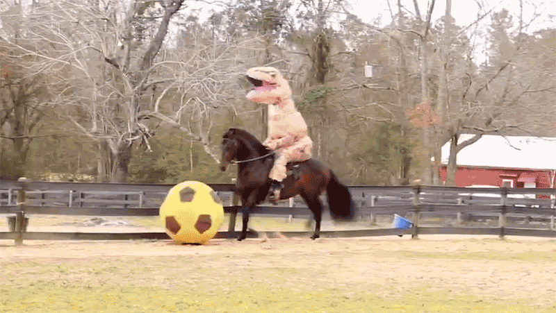 T-rex.gif