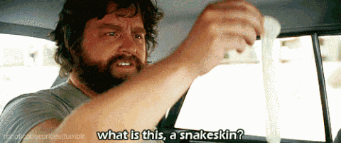 snakeskin.gif