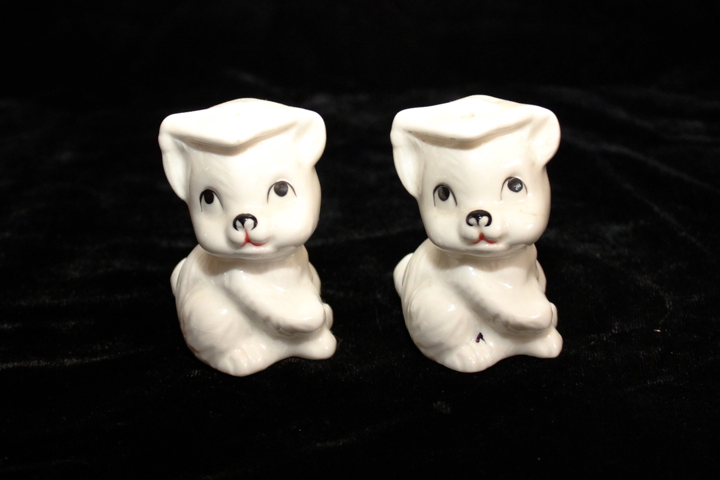 Graduation Bears Salt and Pepper Shakers