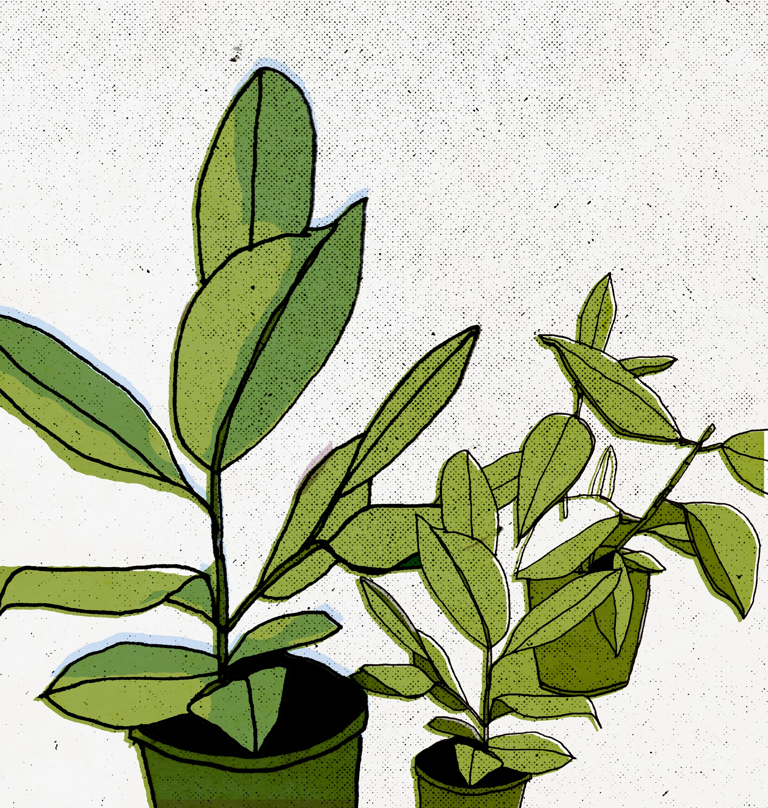 megan_grant_illustration 11.jpg