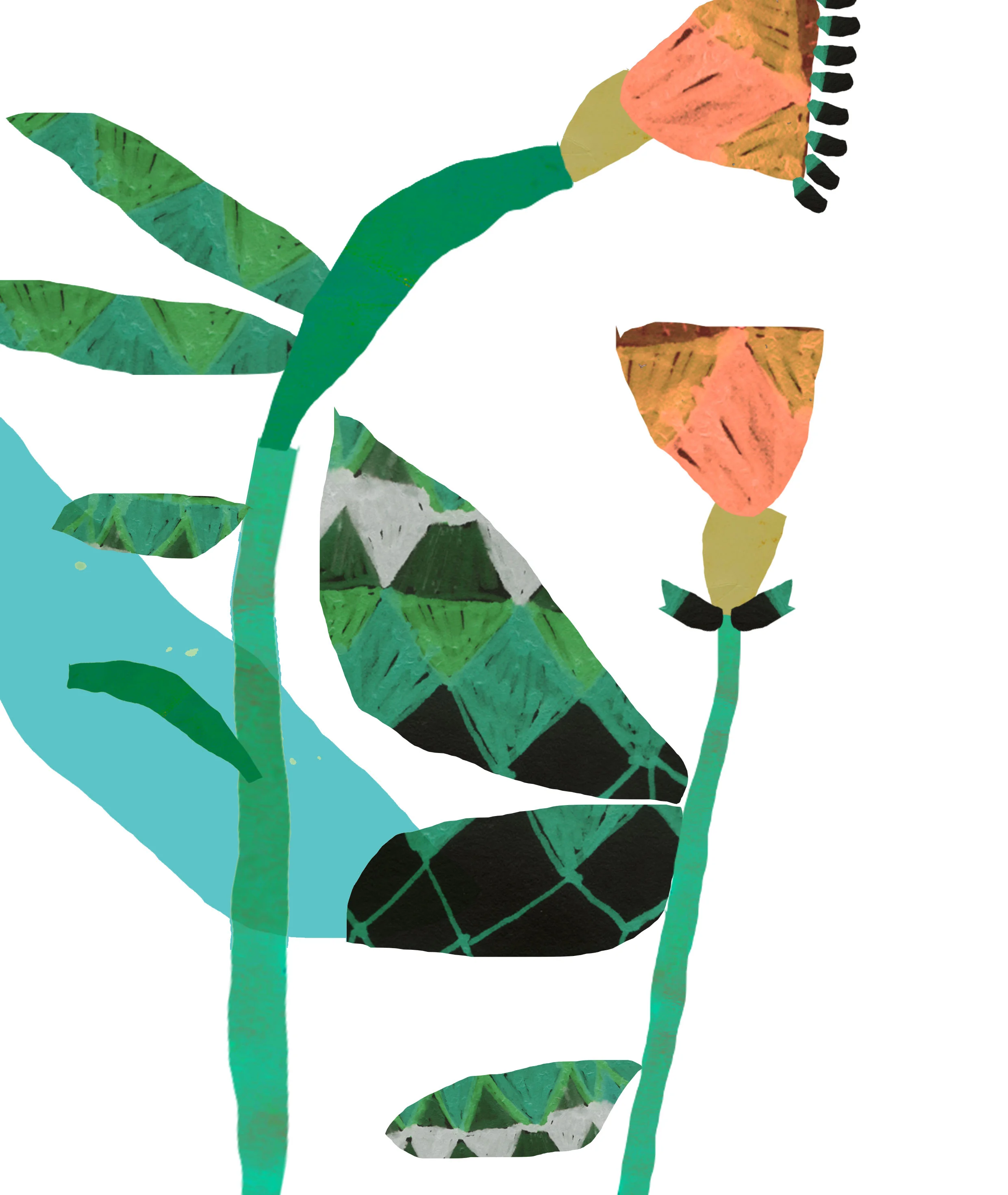 megan grant illustration green 1 .jpg