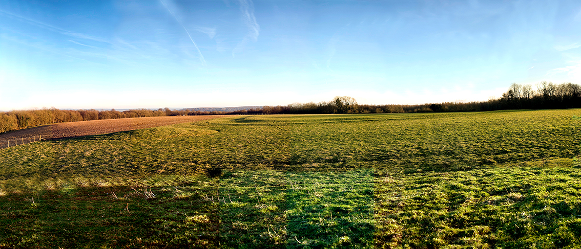 Barkhale Neolithic Causewayed Enclosure