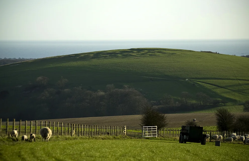 The Neolithic flint mines and Bronze Age enclosure viewed from Kithurst Hill