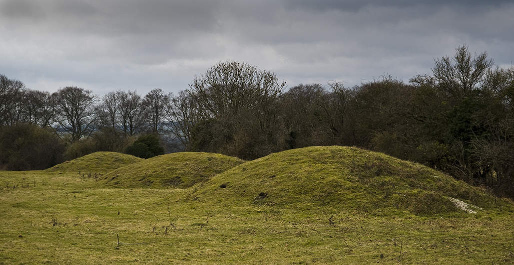 Bronze Age barrows just outside the fort