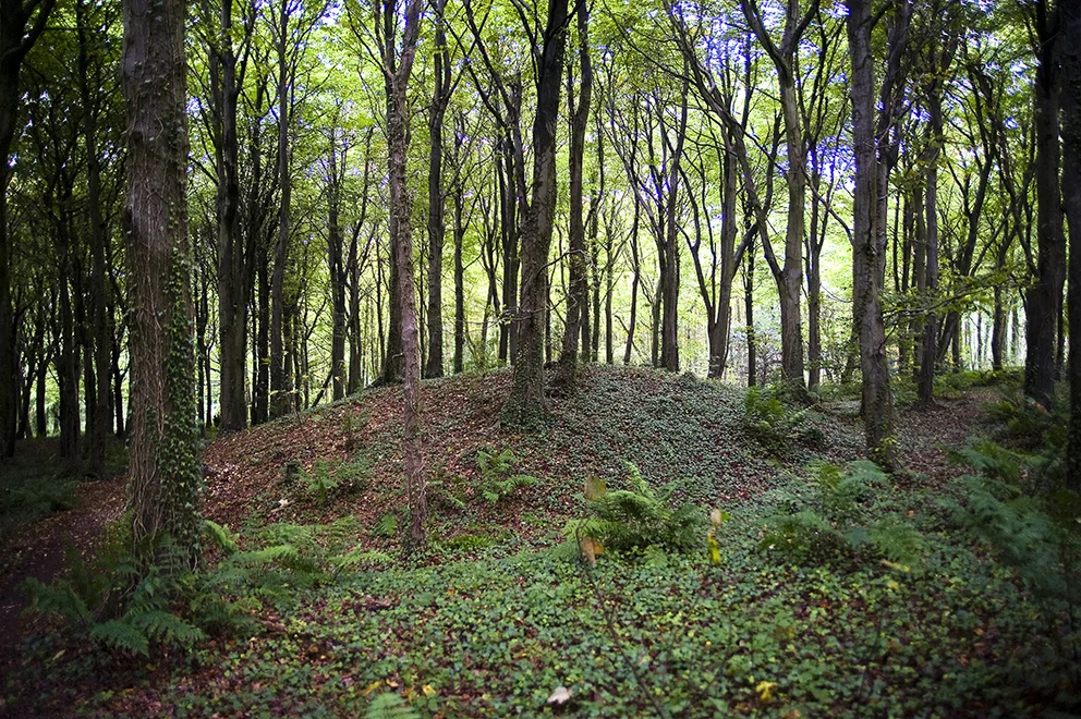 Brighstone Down Bronze Age barrows