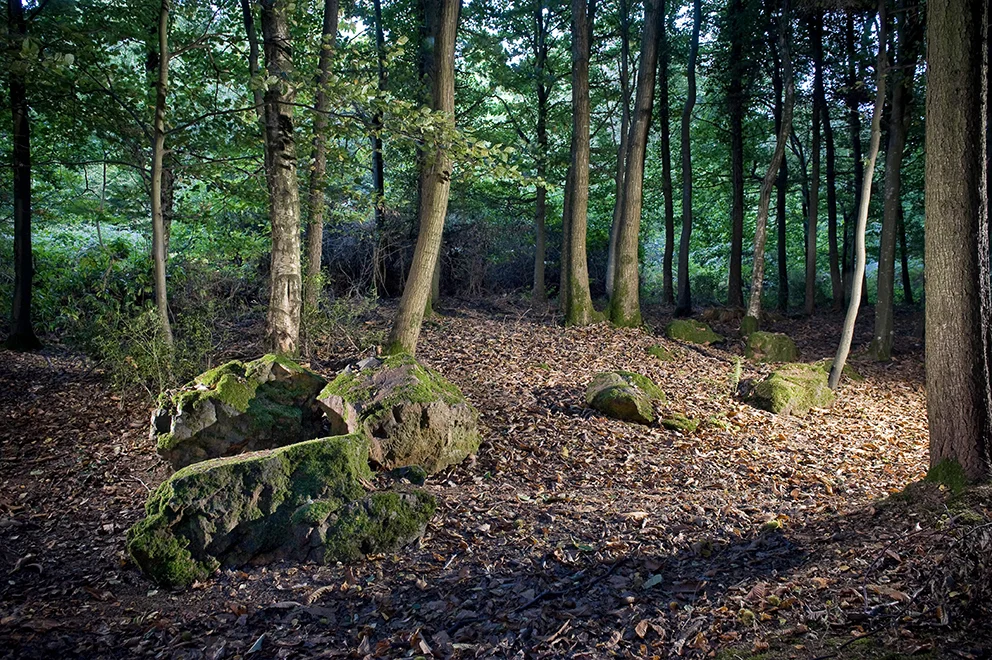 Rempstone (ruined) Bronze Age stone circle