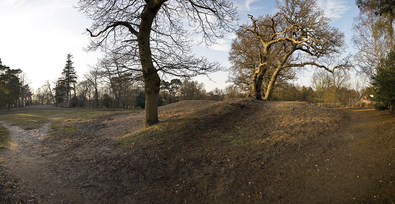 Lord's Piece Bronze Age barrow cemetery