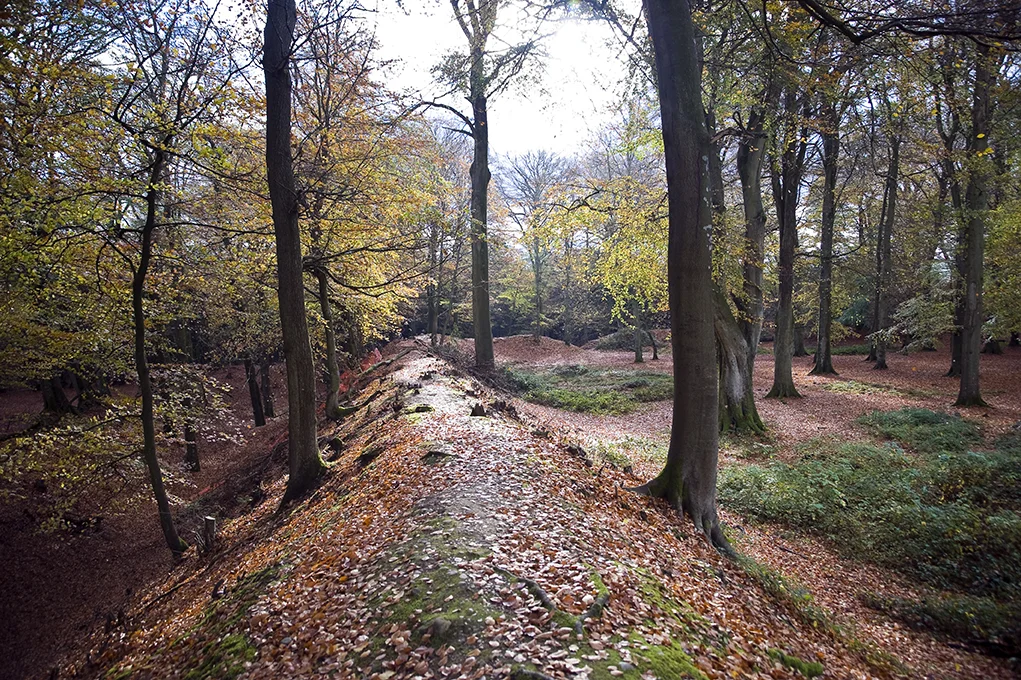 Woodbury Iron Age hill fort