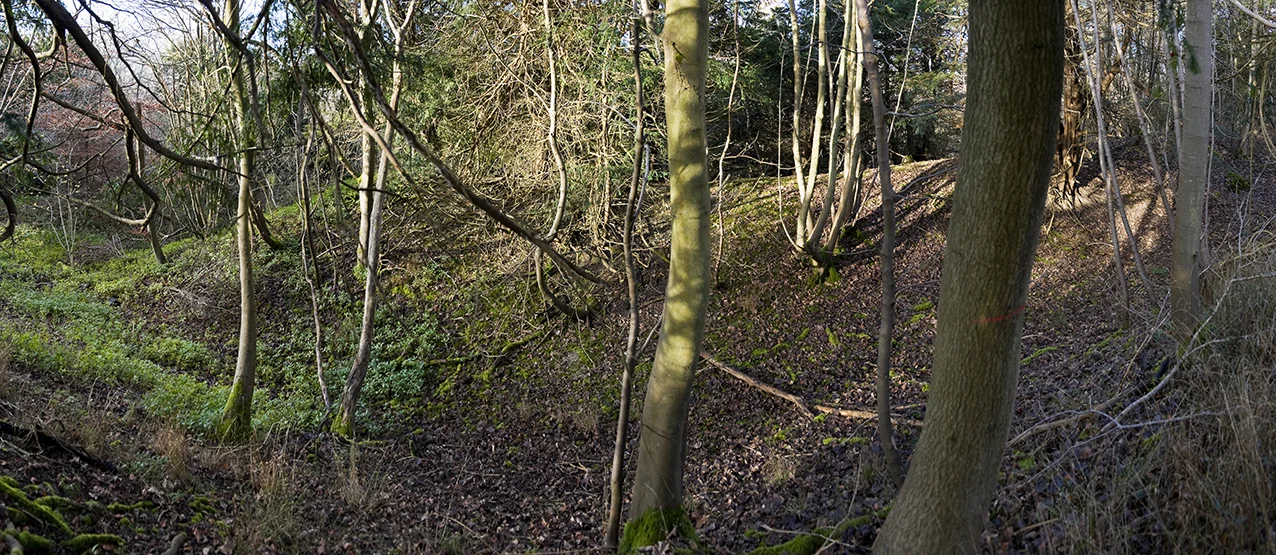 War Dyke's substantial bank and ditch running West from the A284