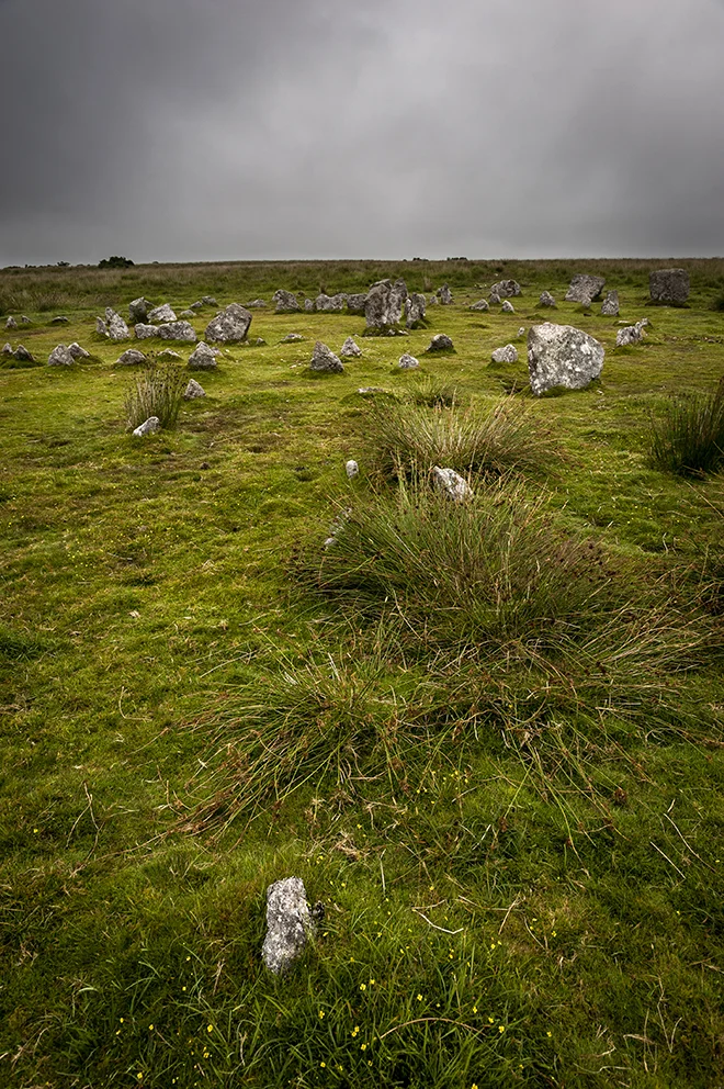 A possible stone avenue on the western side