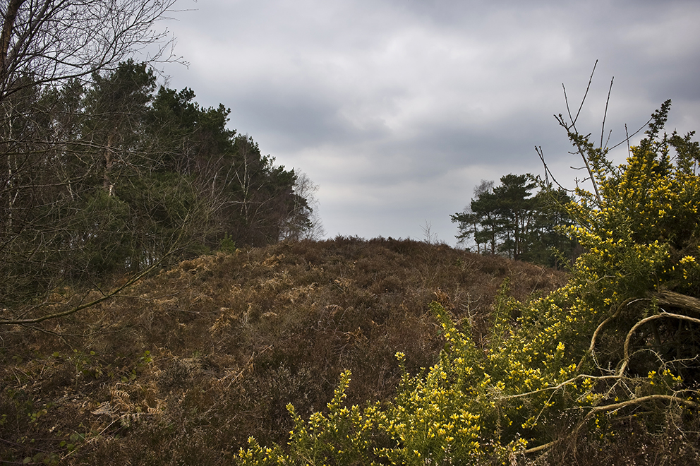 Sullington Warren Bronze Age barrows