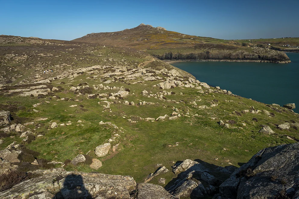 Overhead view of up to eight hut circles