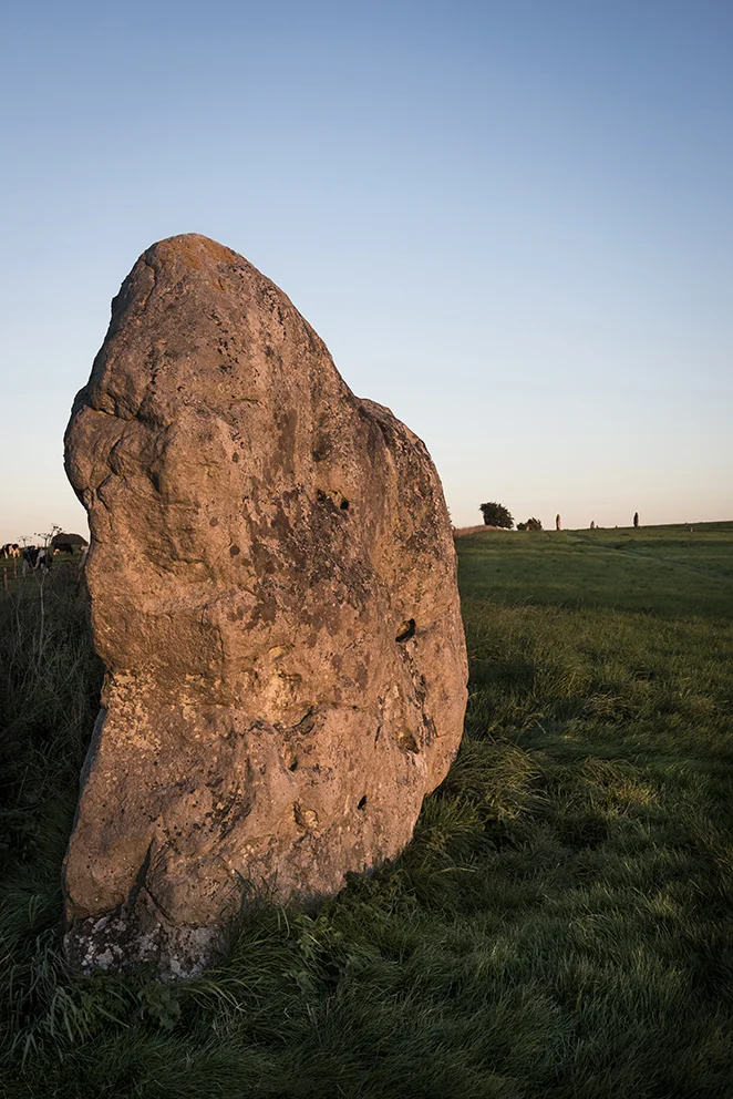 One of the first stones at the Avebury end