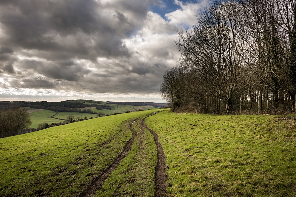 Court Hill Neolithic Causwayed Enclosure