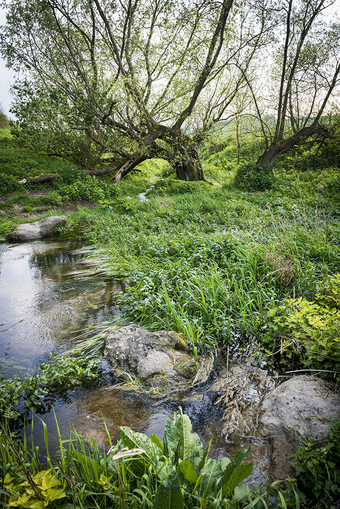 The spring is situated between Silbury Hill to the north and West Kennet Long Barrow to the south.