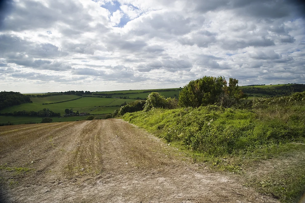 Looking down the dyke to the South West