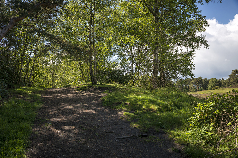 one of the barrows on the south western side, partly in someones back garden