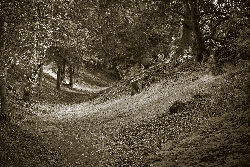 The ditch and banks of Wandlebury Iron Age hill fort