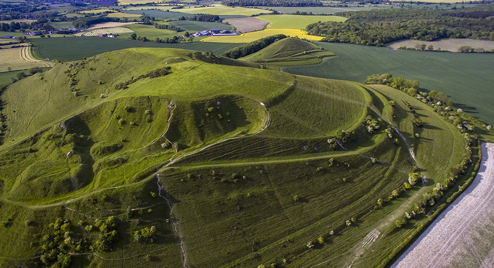 Aerial view (courtesy of Felix Speller).